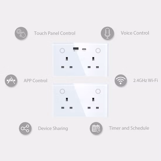 WiFi Remote Control Smart Wall Socket with 2 USB