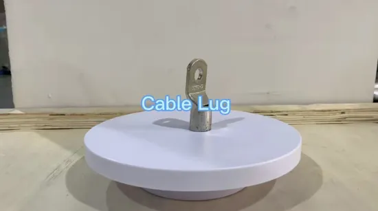 Smart Life Mini WiFi Smart Plug with USB Charging Port 